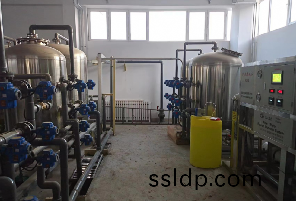 魯糧(liang)食(shi)品(pin)10T反(fan)滲透(tou)+40T輭(ruan)化(hua)安裝調(diao)試(shi)