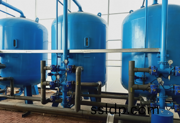 2X30T/H反滲(shen)透(tou)設(she)備大(da)棚(peng)種(zhong)植用水(shui)