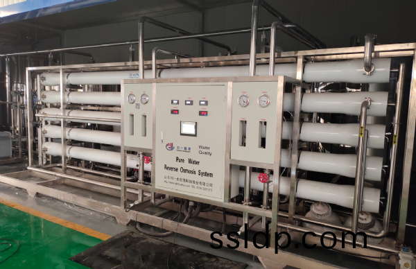 10T/H雙級(ji)反(fan)滲(shen)透(tou)+EDI設備