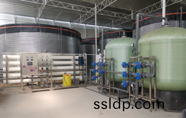 20T/H單級(ji)反滲(shen)透設備